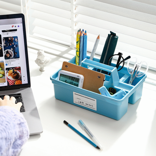 Portable storage box